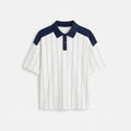 ZENI Pinstripe Polo Shirt